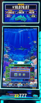 Experiência VIP zz777